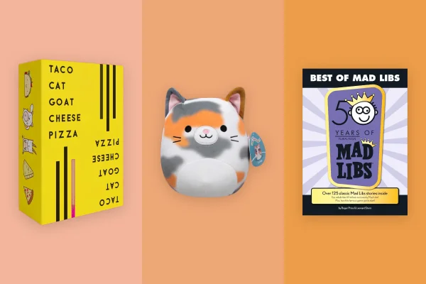 15 Birthday Gifts for Kids Under $20