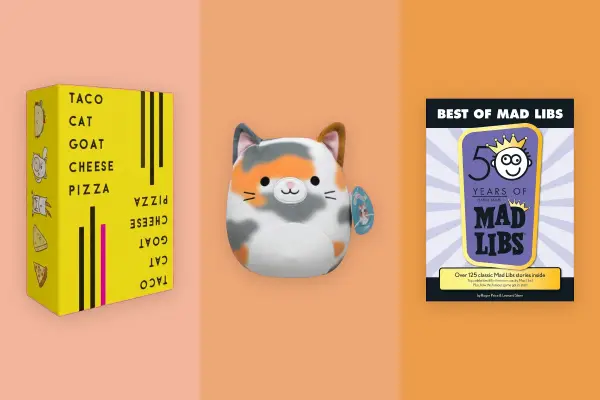 15 Birthday Gifts for Kids Under $20