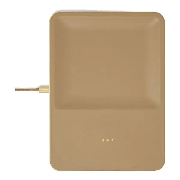 Catch-All Large Charging Station