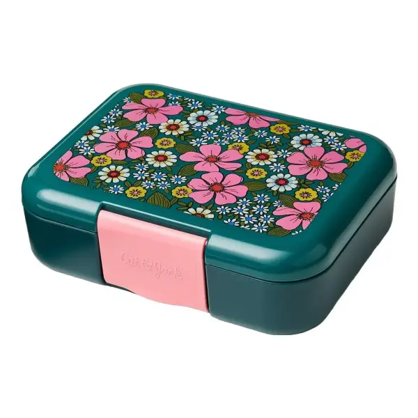 Deluxe Bento Box 4pc