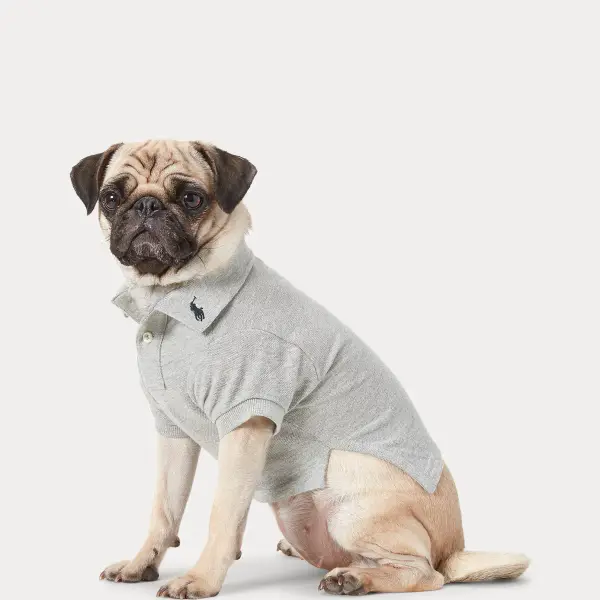 Cotton Mesh Dog Shirt
