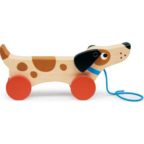 Puppy On Wheels