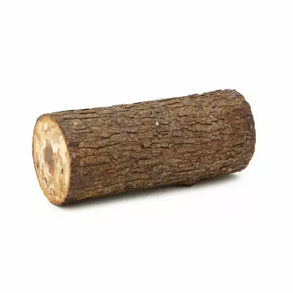 Shiitake Mushroom Log Kit