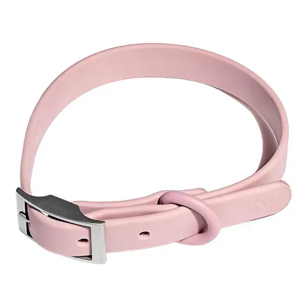 Splendid x Wild One Dog Collar