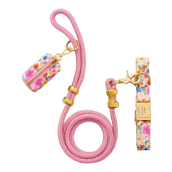 Margaux Collar Walk Set