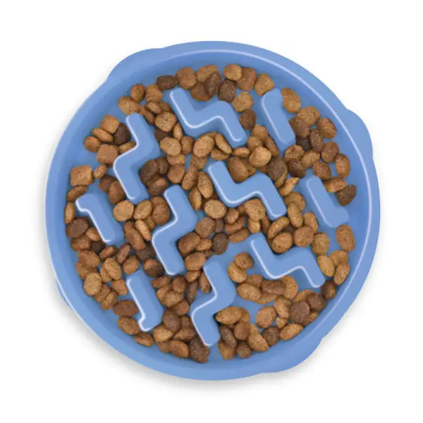 Fun Feeder Slow Feeder Dog Bowl
