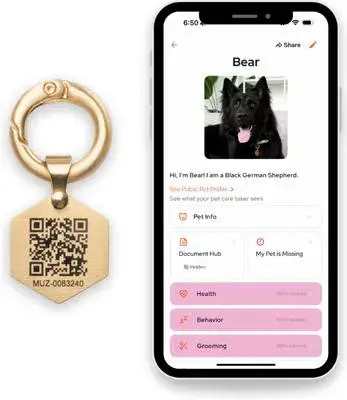 QR Code Dog & Cat ID Tag