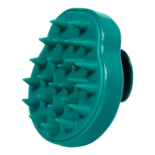 Hair Shampoo Brush