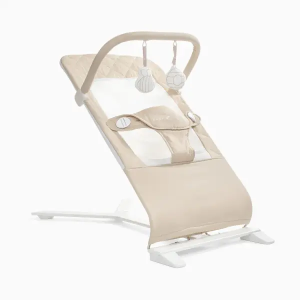 Alpine Deluxe Portable Bouncer 