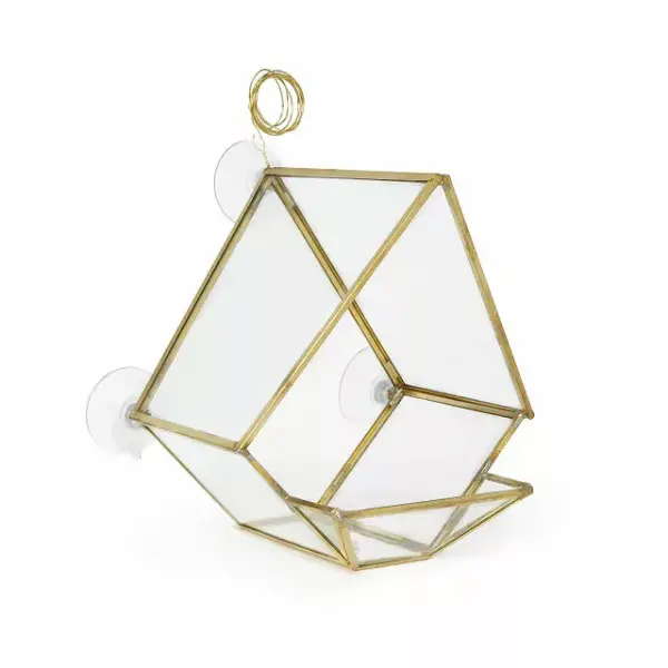 Glass House Bird Feeder