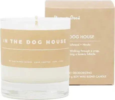 Odor Eliminator Candle