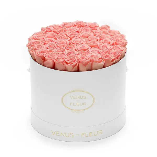 Large Round Forever Roses