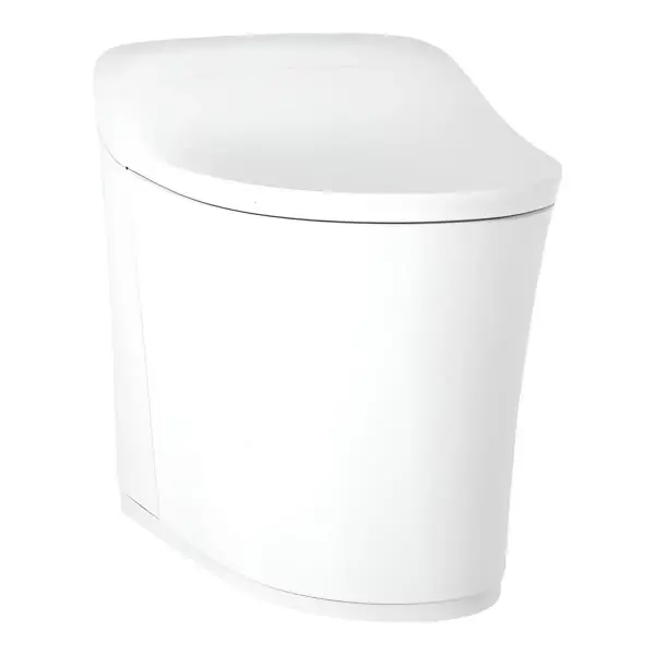 Eir One-piece Elongated Smart Toilet Dual-flush