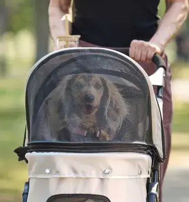 Pet Stroller
