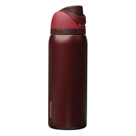 Owala FreeSip Insulated Stainless Steel Water Bottle