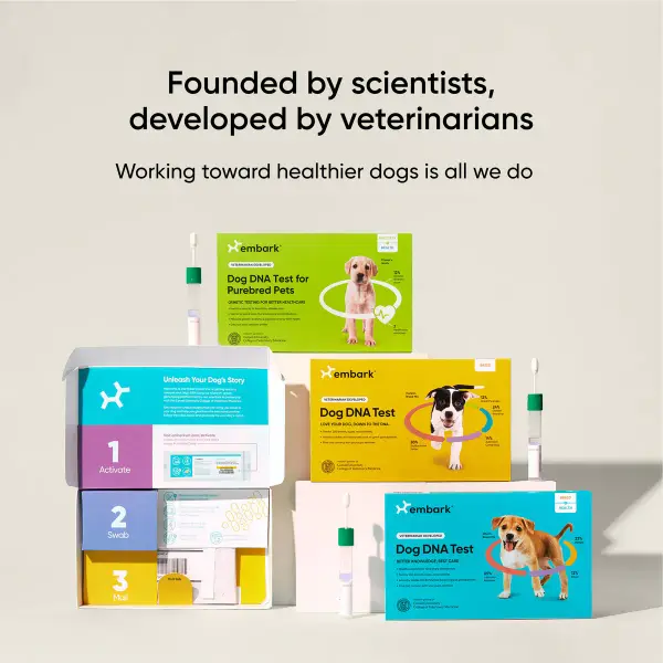 Dog DNA Test