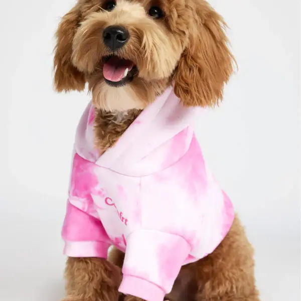 Minimalist Paw Hoodie