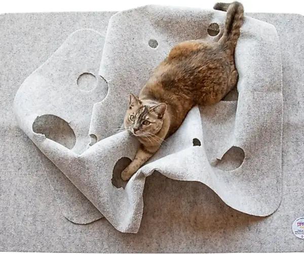 Ripple Rug Cat Activity Play Mat