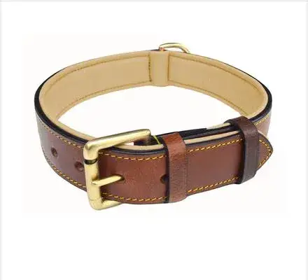Leather Two-Tone Padded Dog Collar