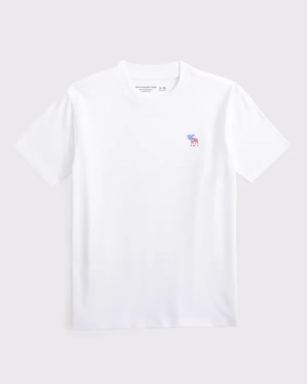 boys washed essential icon crew tee | boys new arrivals | Abercrombie.com