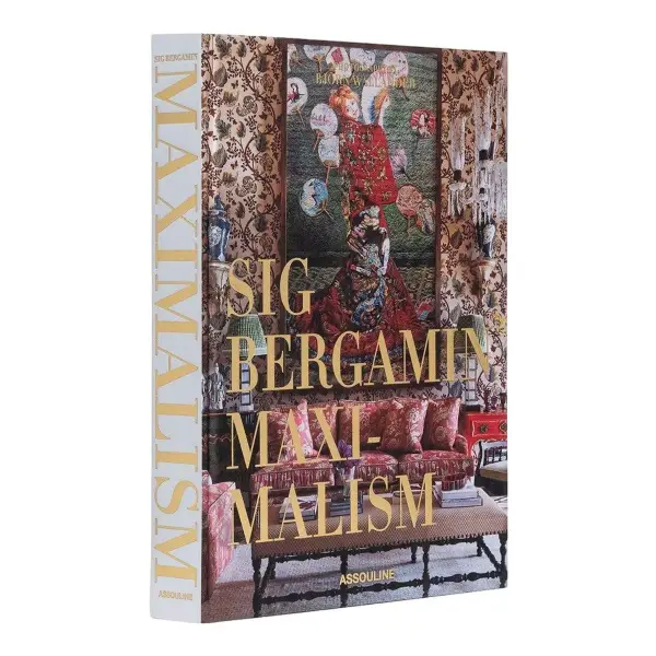 Sig Bergamin Maximalism