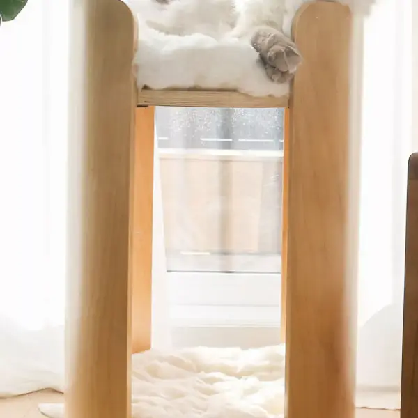 Castillo Cat Tower