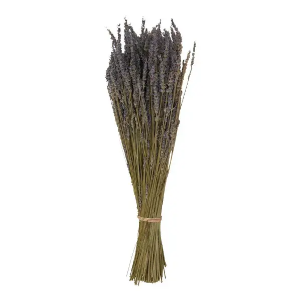 Lavender Bunch