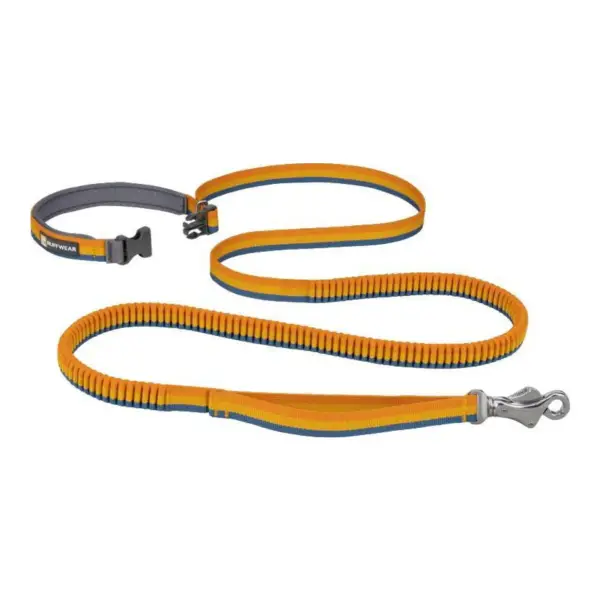 Roamer Bungee Dog Leash