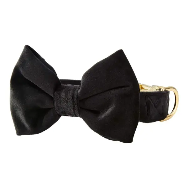 Velvet Bow Tie Collar