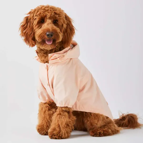 Dog Raincoat