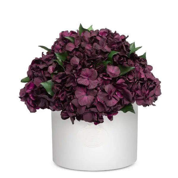 Thalia Porcelain Vase
