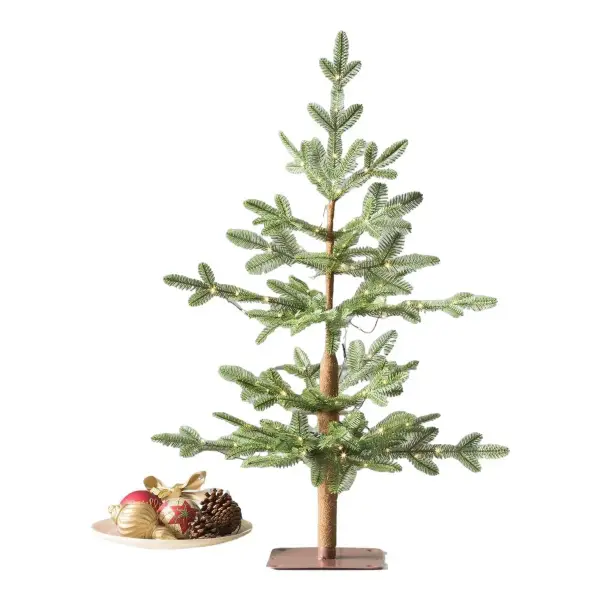 Alpine Balsam Fir Tree