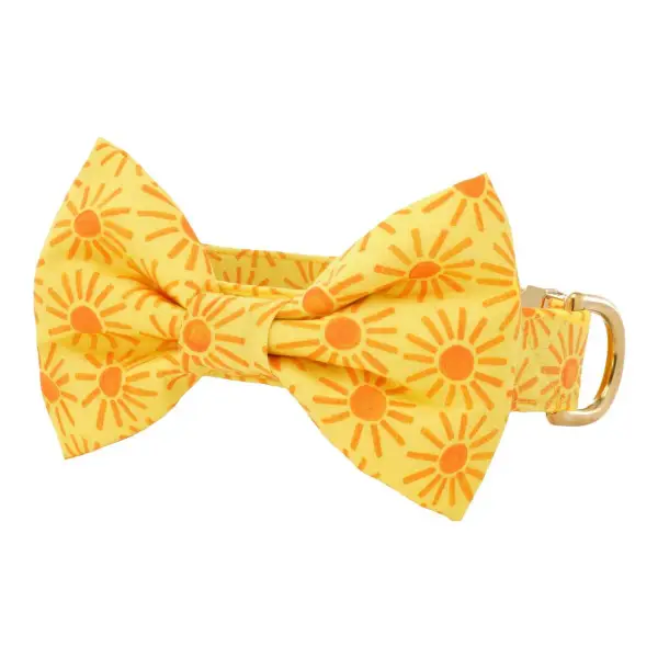 Bow Tie Collar