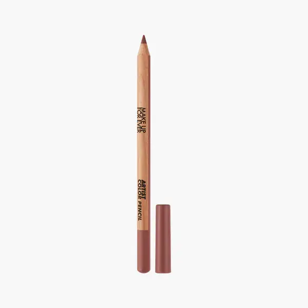 ARTIST COLOR PENCIL