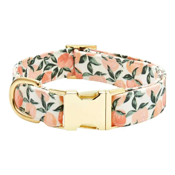 Dog Collar
