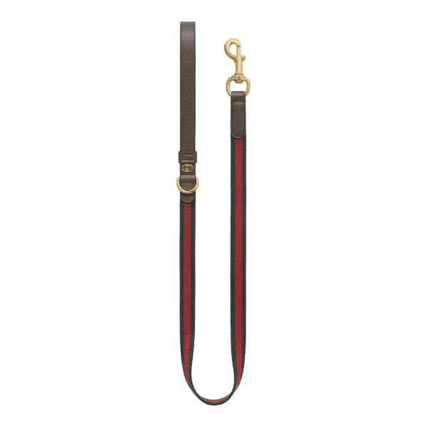 Small/Medium Pet Leash