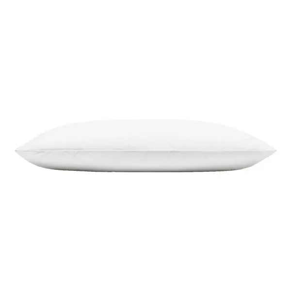 Pillow Insert