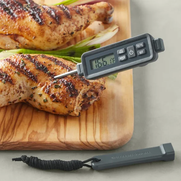 Williams Sonoma Waterproof Pen Thermometer