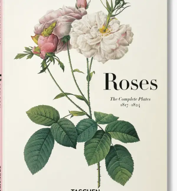 Redouté. Roses 