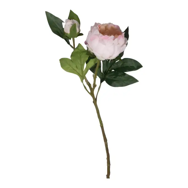 Peony Stem 