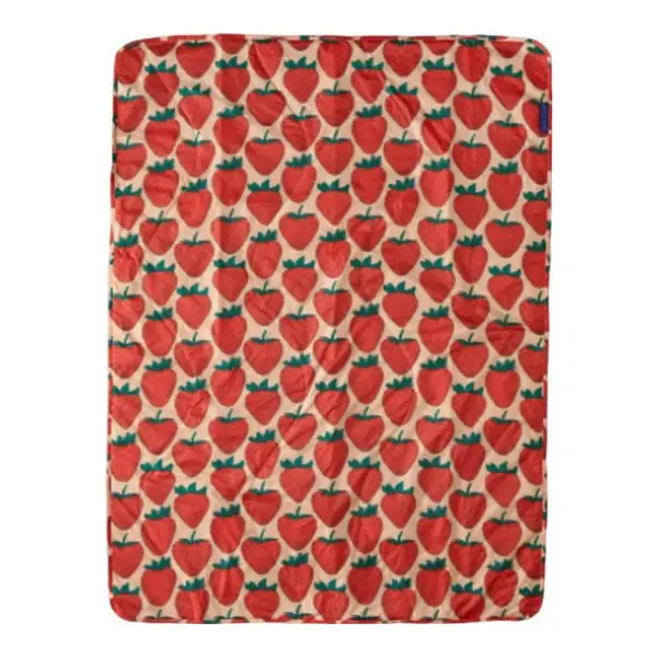 Puffy Picnic Blanket