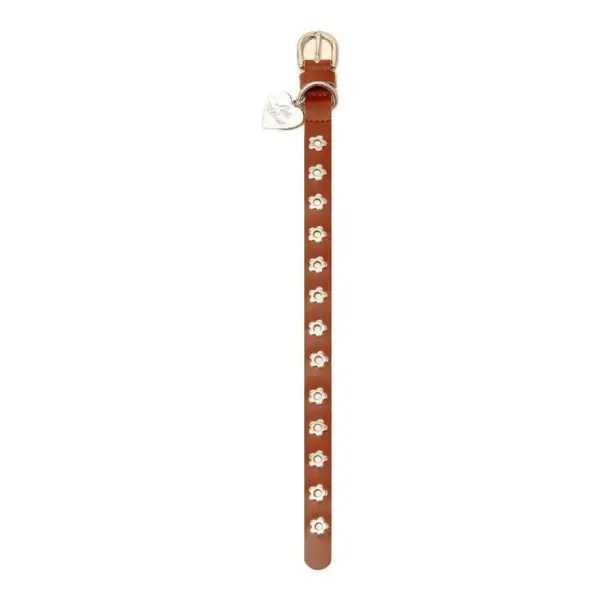 Flower Power Pet Collar
