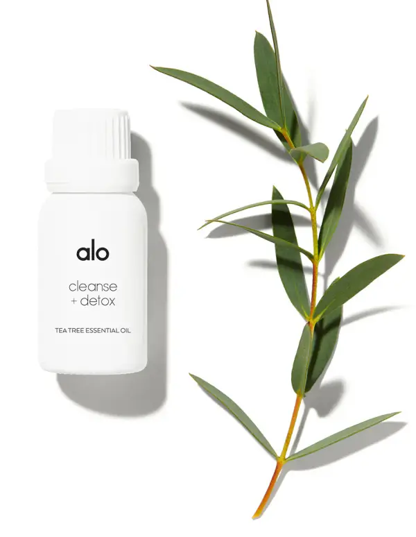 Cleanse & Detox Essential Oil (Tea Tree)