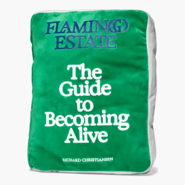 The Guide To Becoming Alive