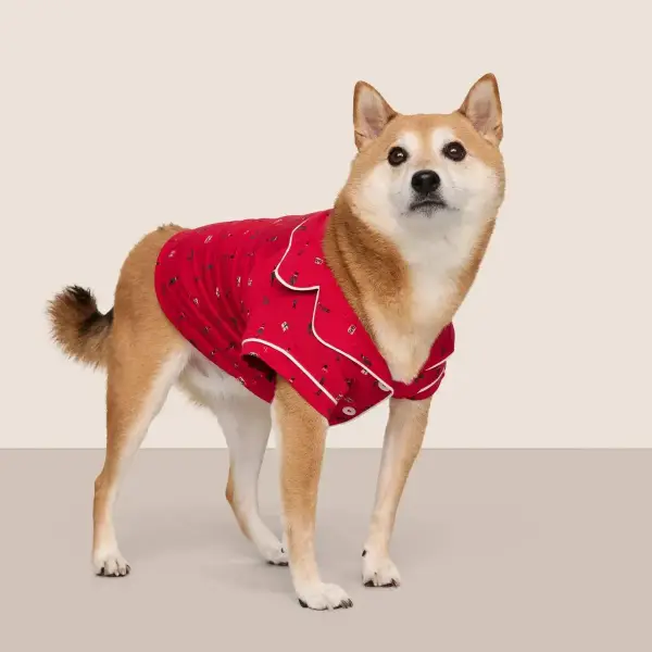 Gisele Printed TENCEL Modal Pet PJ