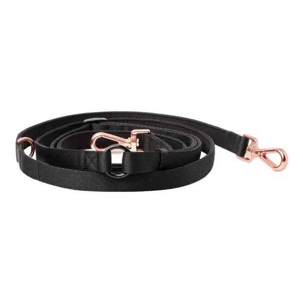 Metro Hands Free Leash