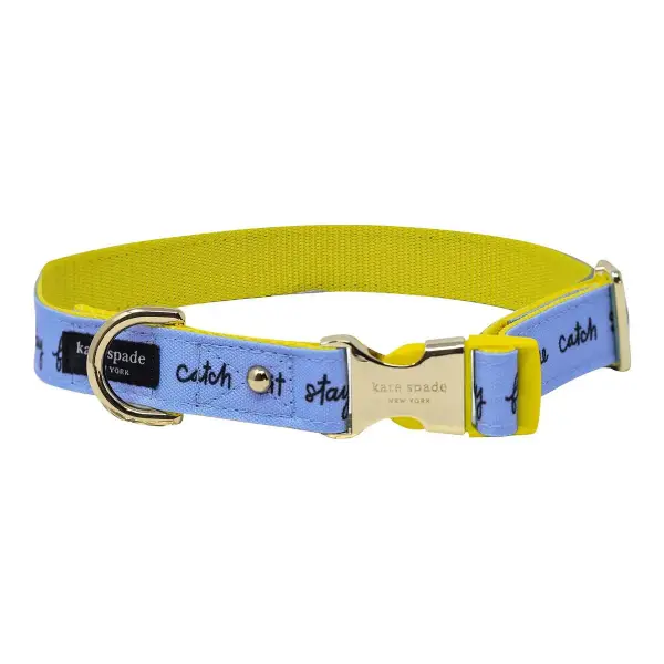 Raining Cats And Dogs Collar M/L
