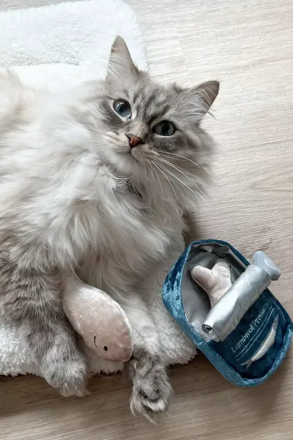 Food & Veggies Plush Cat Toy