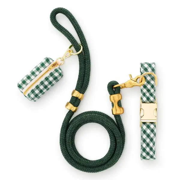 Gingham Collar Walk Set