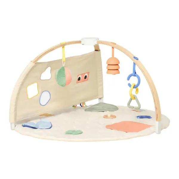 The Play Gym
